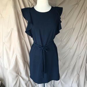 Banana Republic Navy Ruffle Sleeve Dress Sz XS
